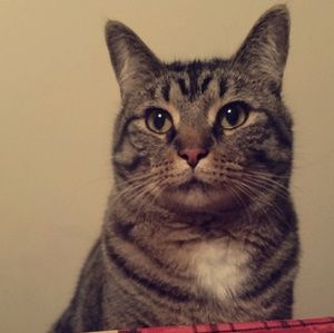 Meet your Posher, Mariah